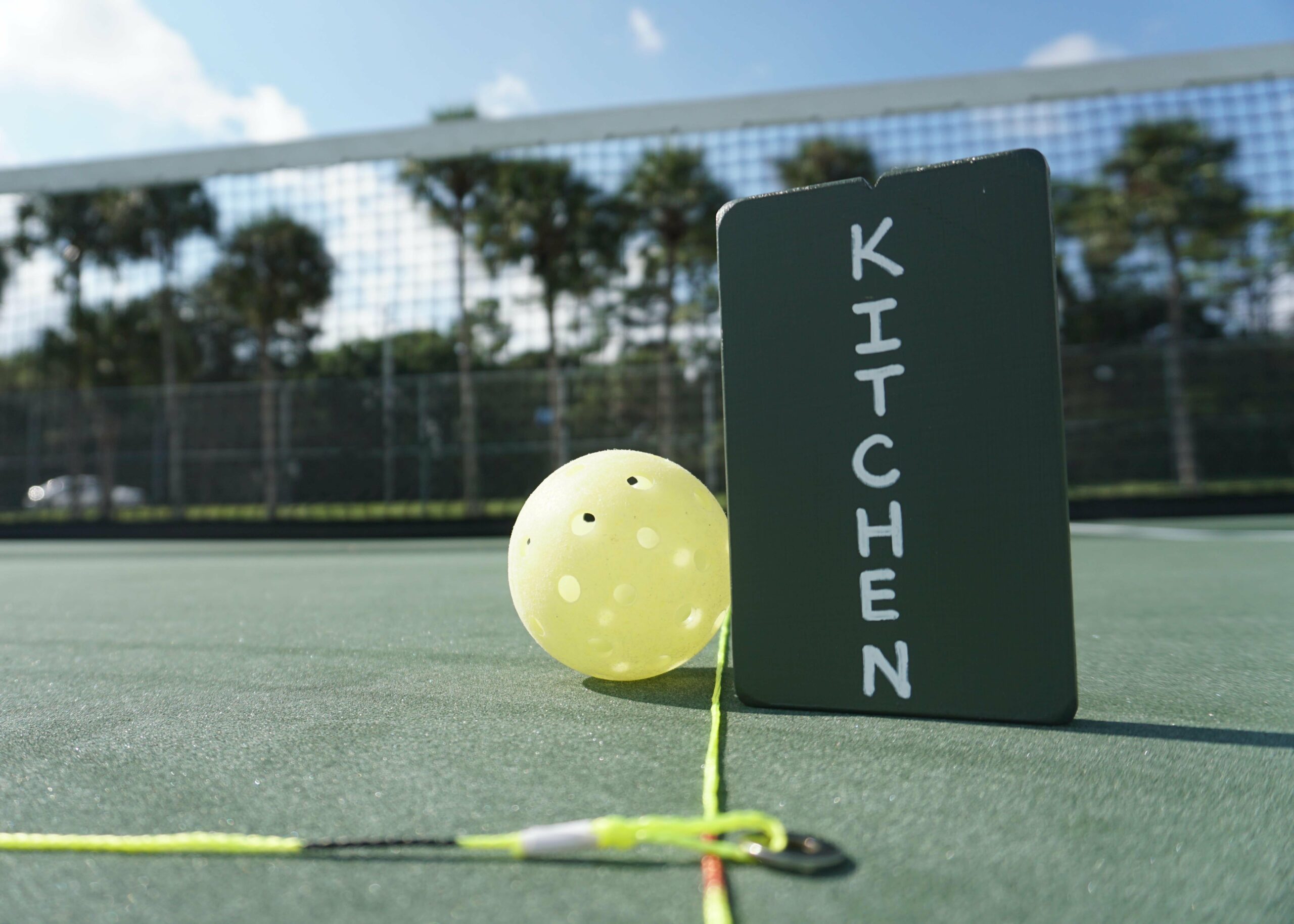 Pickleball On the Go | Pickler Pickleball